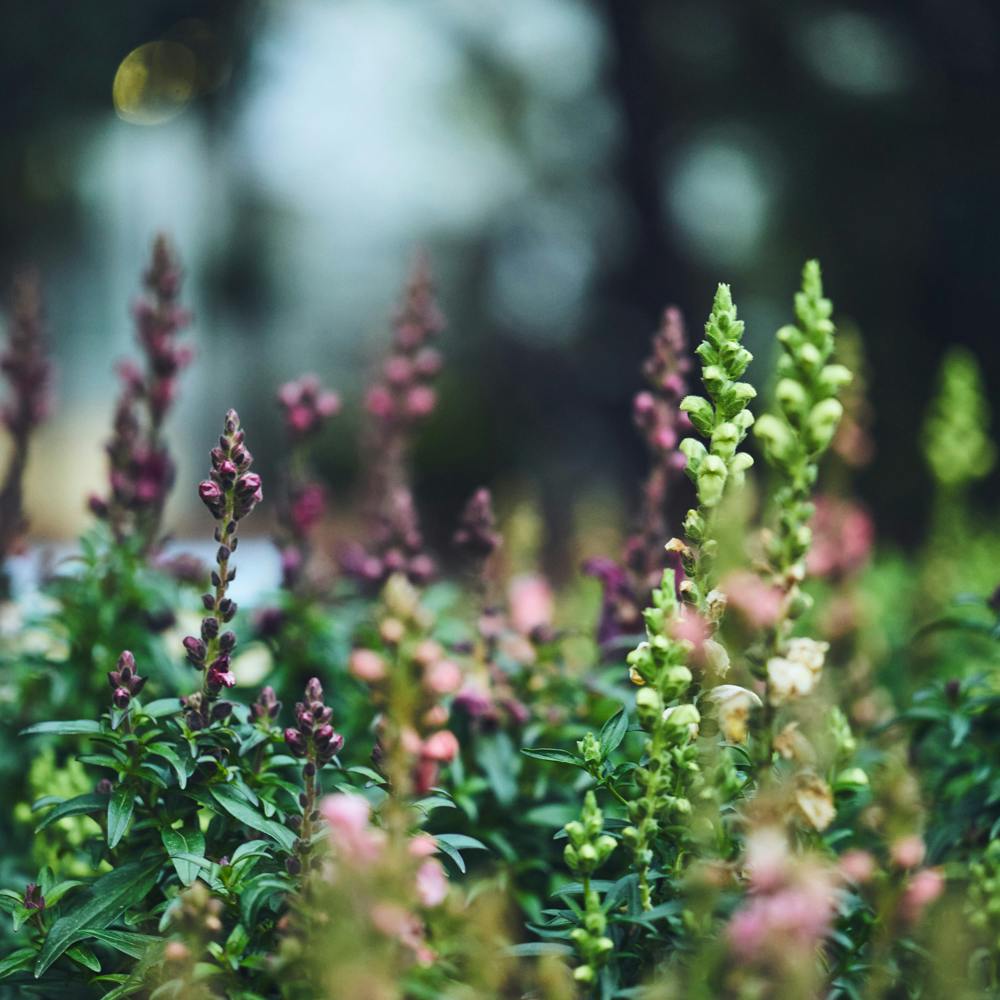 【風をとおすレッスン】後編：自分と他者のあいだに。必要なのは、期待しないコミュニケーション