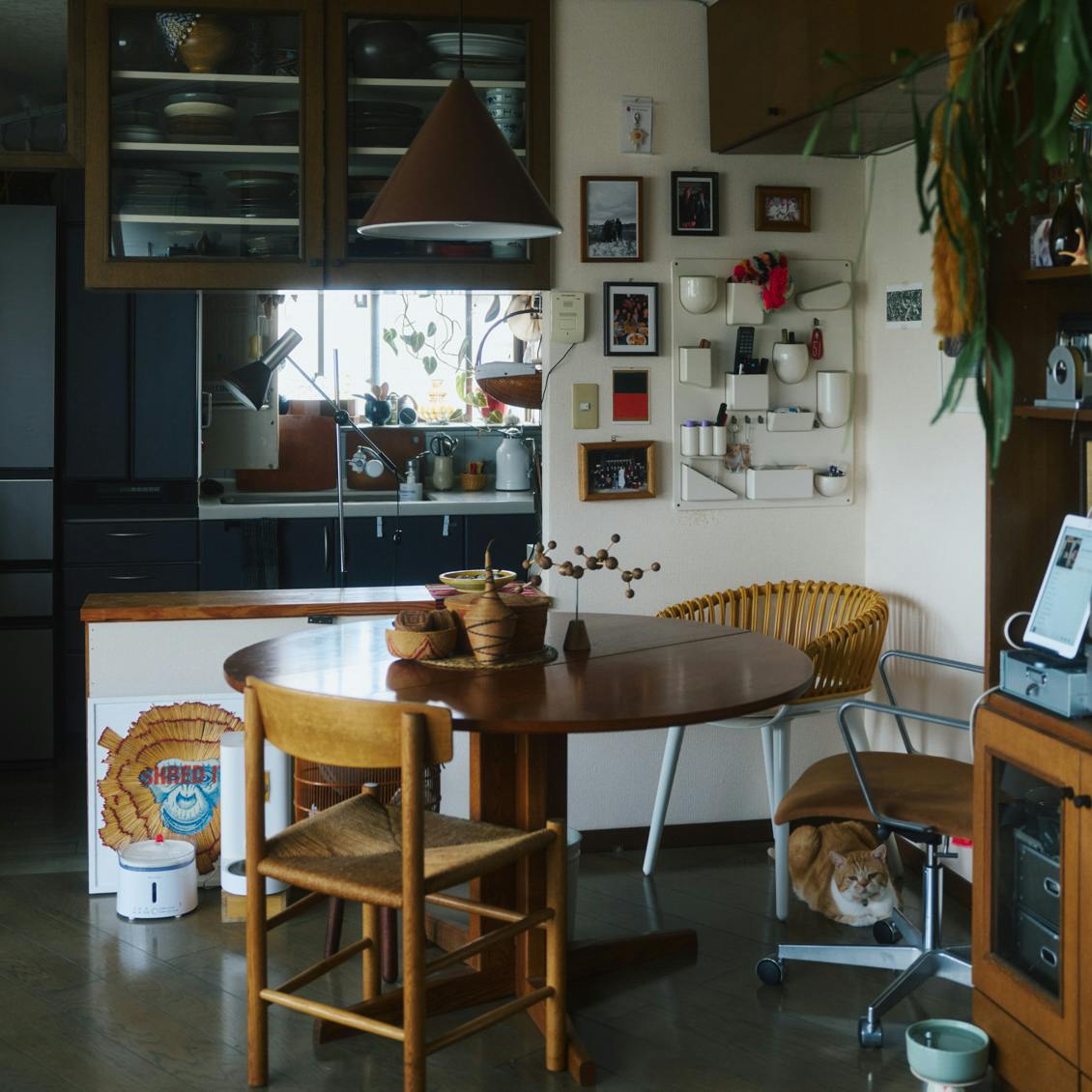 猫と暮らす日々】後編：「こまおがいるから早く家に帰りたい」と思う