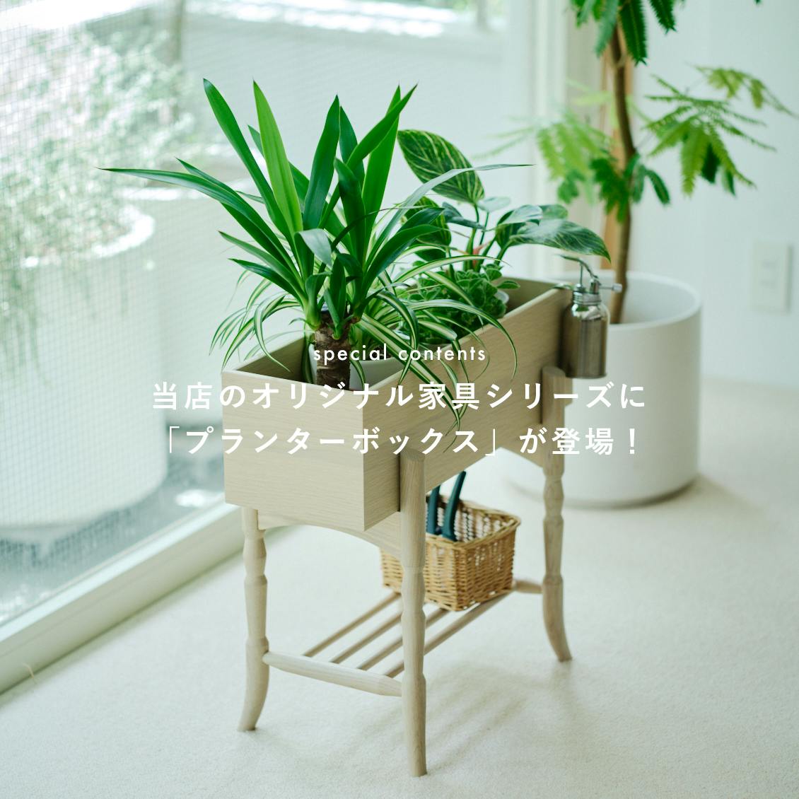 【当店オリジナル家具に新作登場】「見たい景色」を作る、木製のプランターボックスができました
