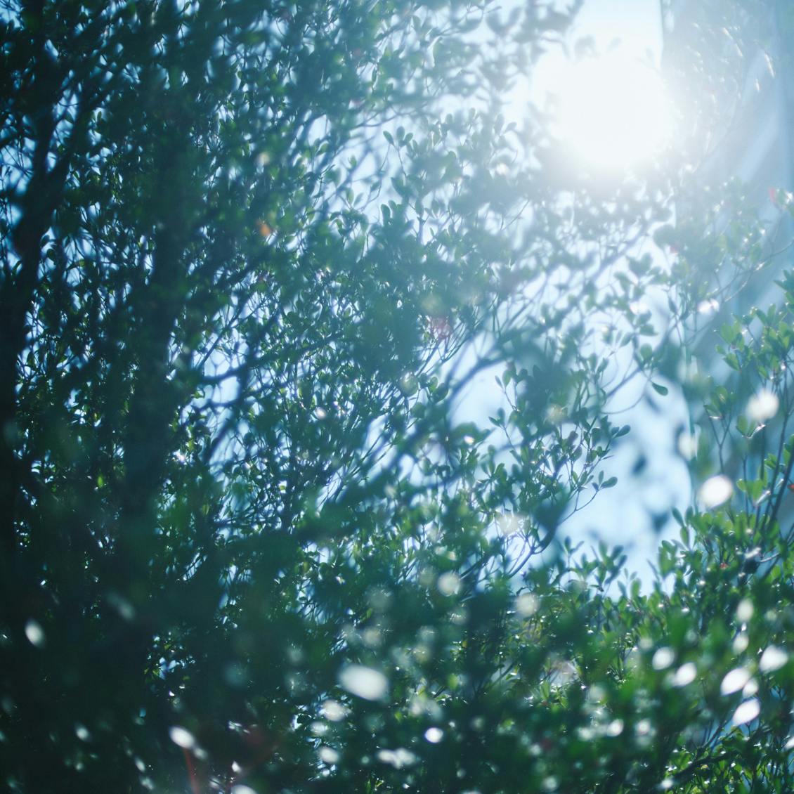 【世界は分業でできている】後編：誰もが不完全な存在だから。私たちは補い合い、助け合っている