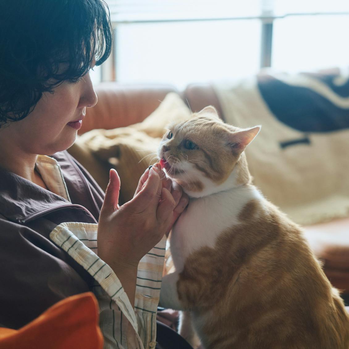猫と暮らす日々】後編：「こまおがいるから早く家に帰りたい」と思う