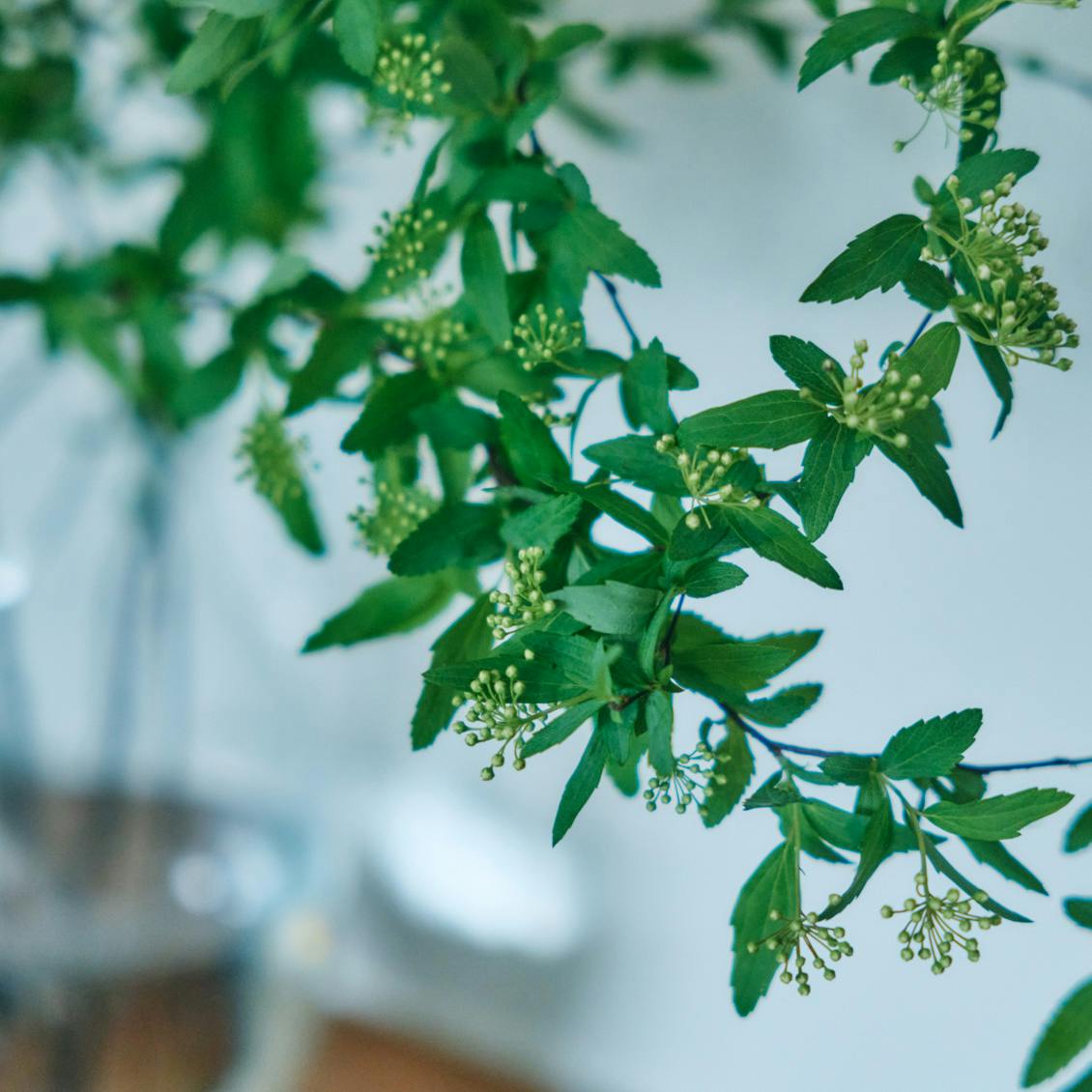 【大平一枝さん特別エッセイ】自己流ケアを卒業。敏感肌を見直す「一生モノ」の習慣って？