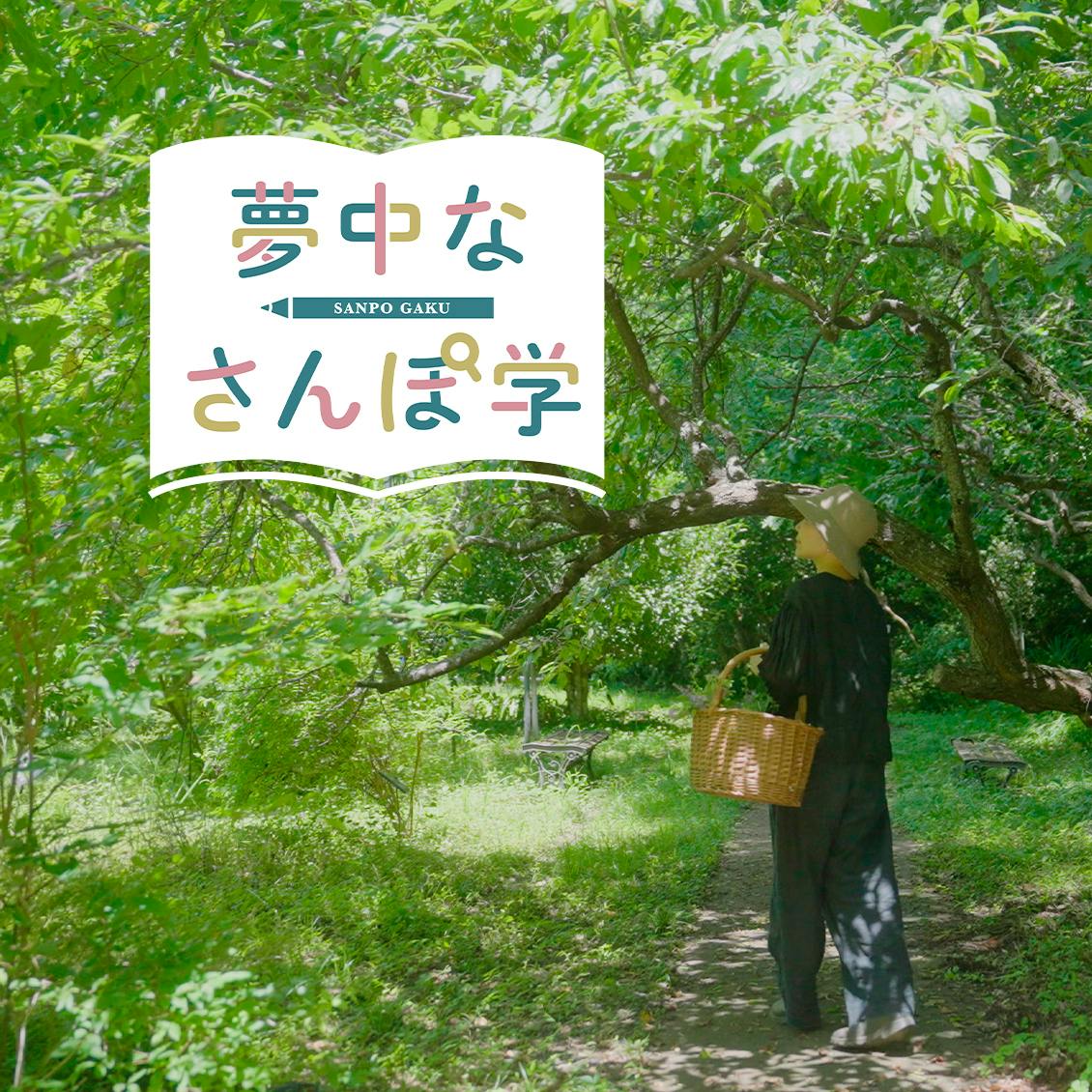 【新番組 | 夢中なさんぽ学】日常に溢れる、実は知らない世界。初回のテーマは「ハーブ」