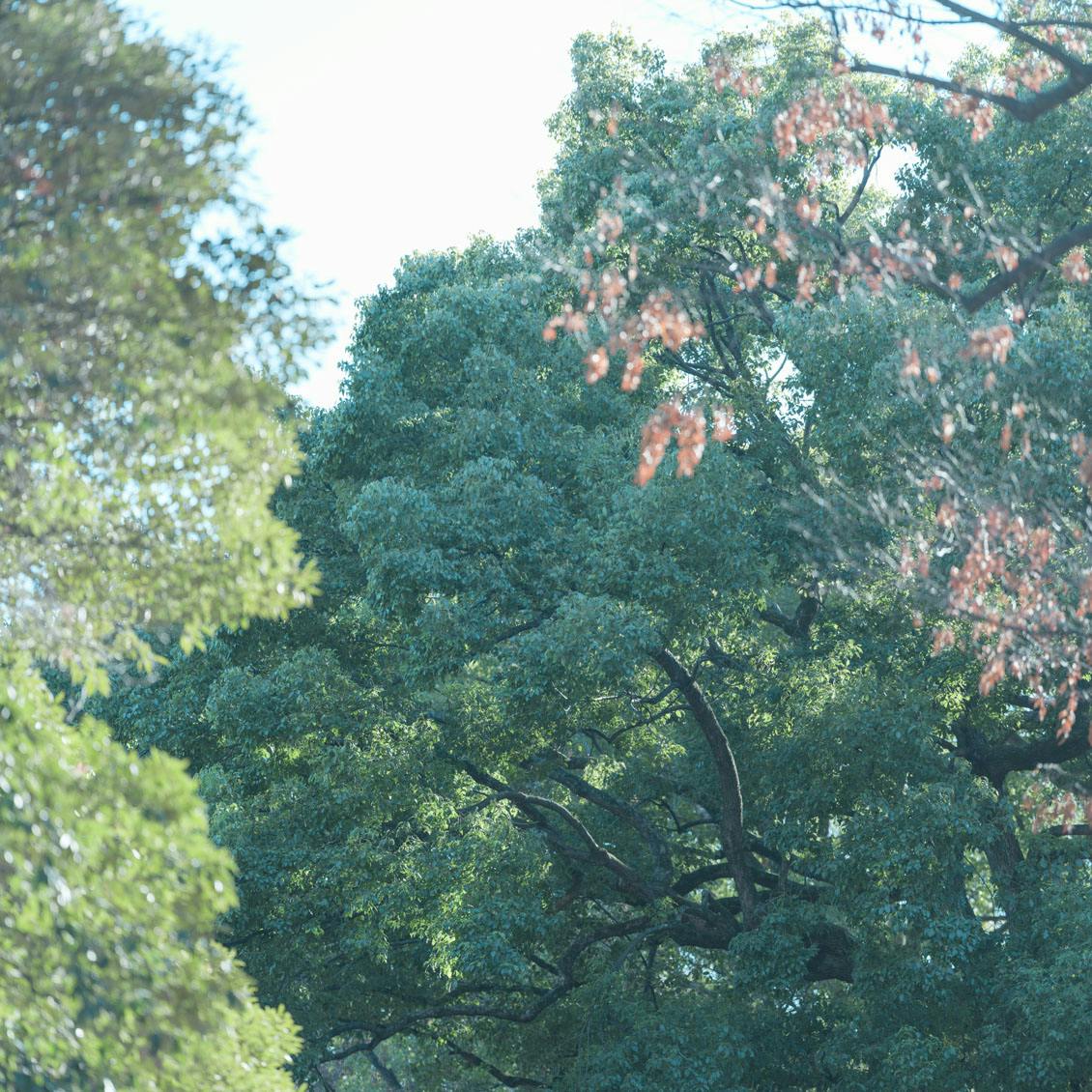 【感情をすくい上げる】後編：どんな自分も、悪者にしなくていい。人は誰しも、さまざまな面を持っているものです