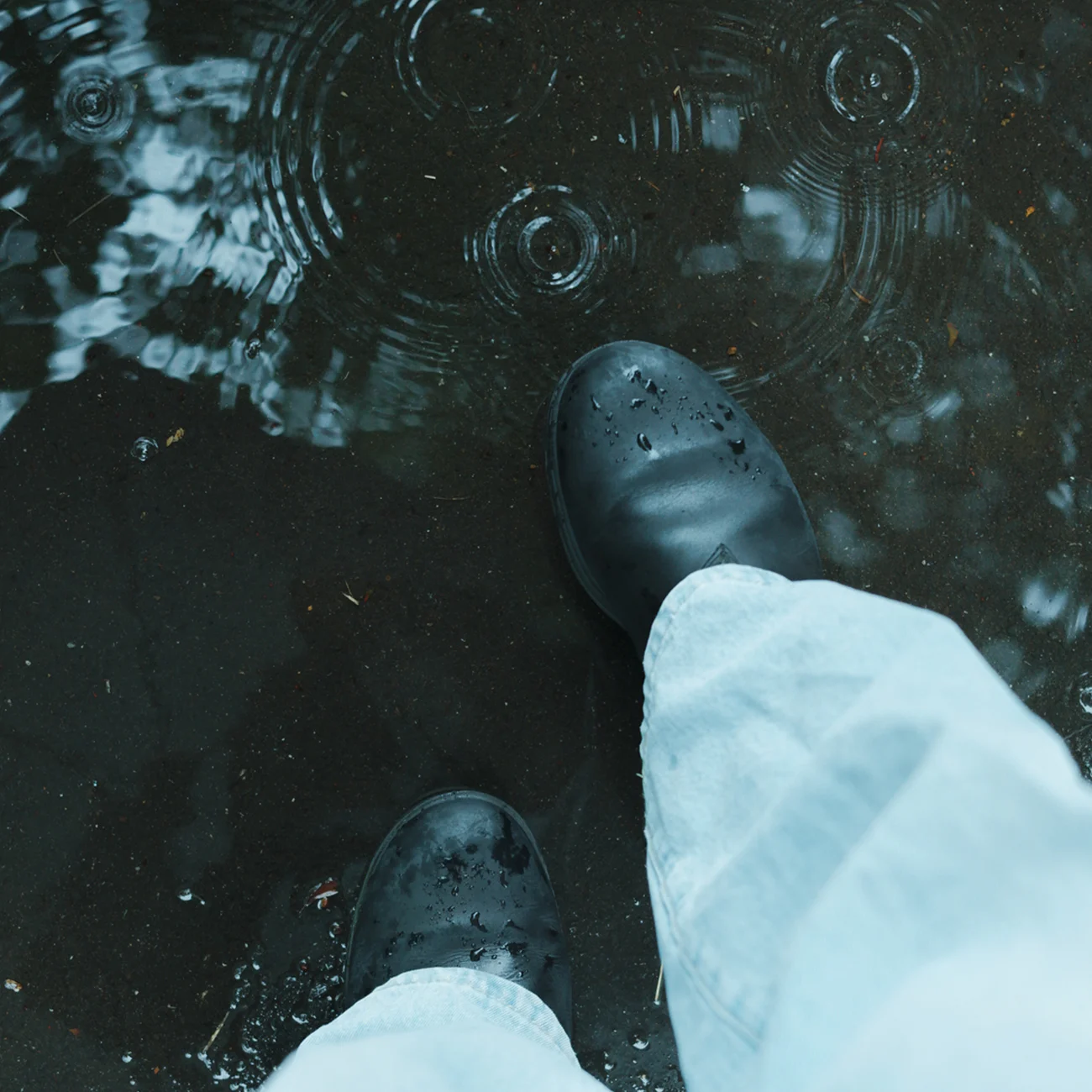 これで梅雨を乗り切れる