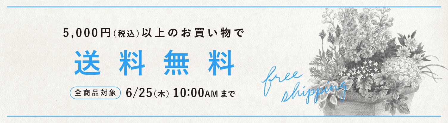 未使用❤️北欧、暮らしの道具店❤️スースースーコンフォート３８　SOLDOUT品 si-si-si comfort / スースースー コンフォート / デニムジャケット