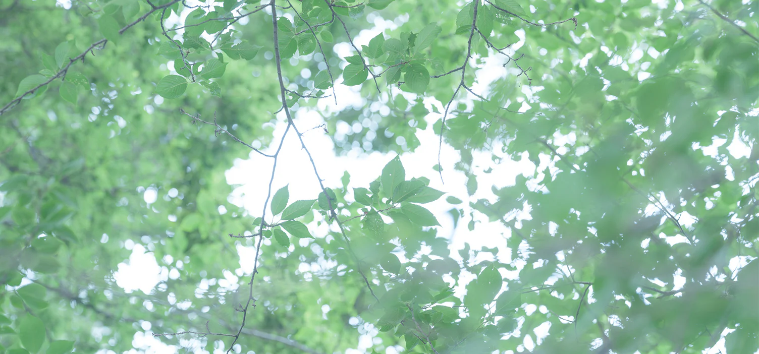 夏を乗り切るアイデア｜前編