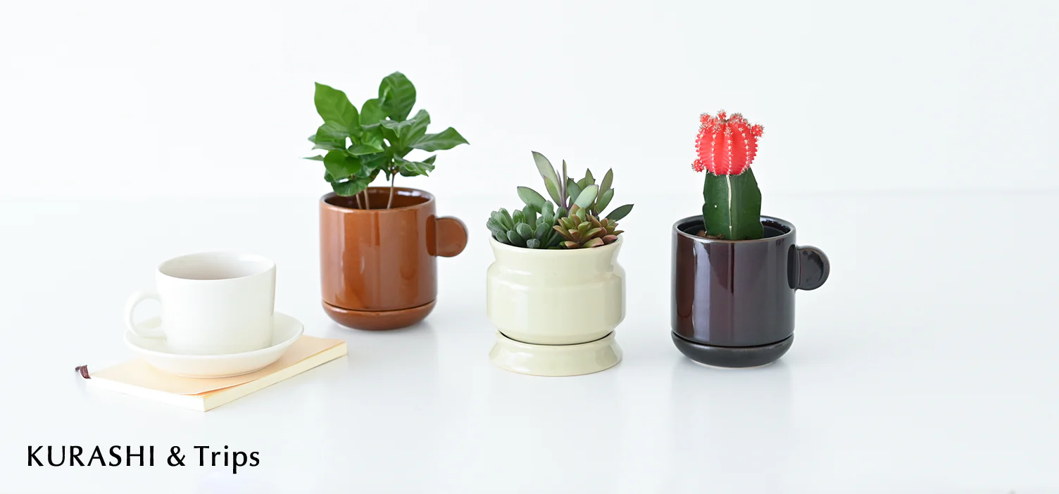雑貨みたいに飾りやすい植木鉢