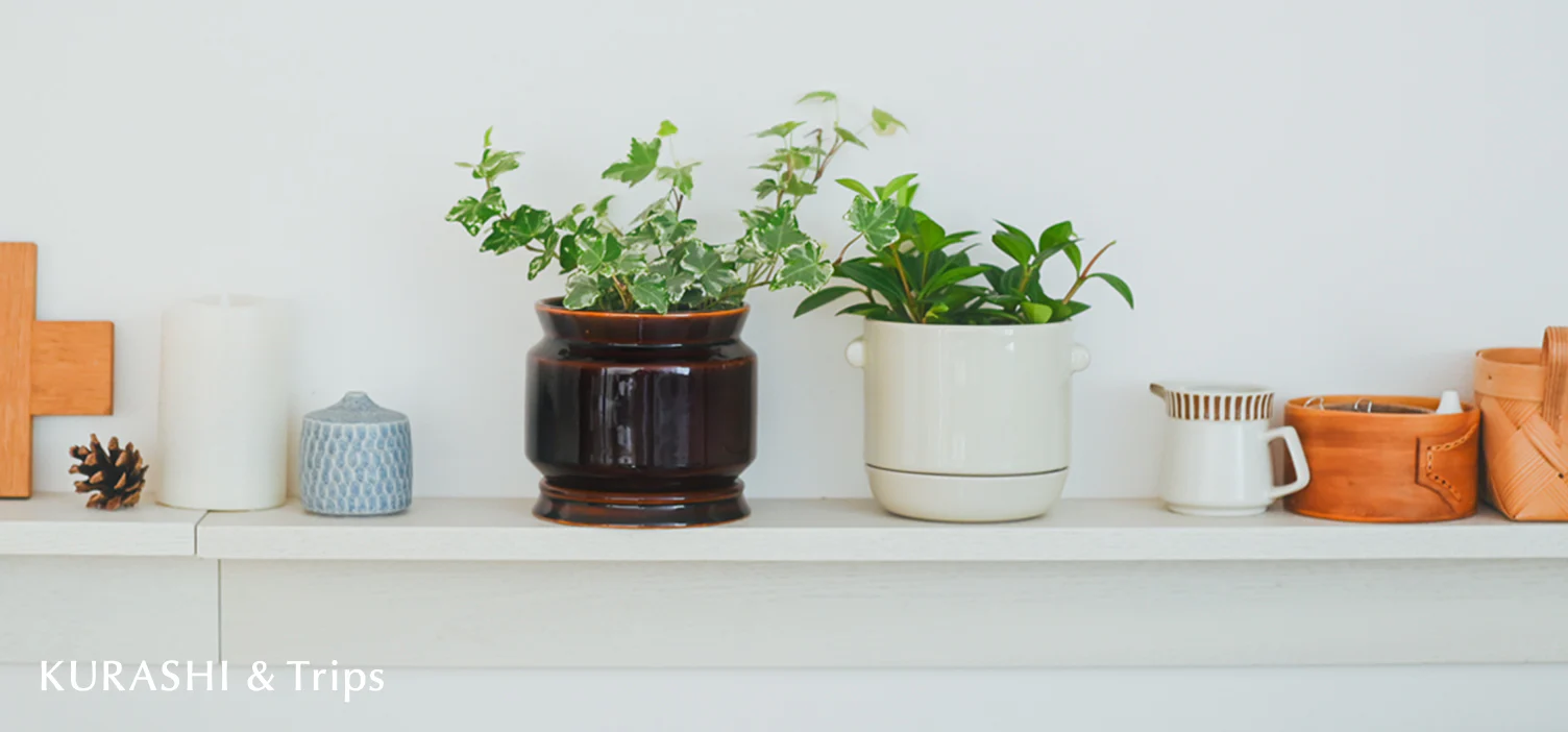 雑貨のように飾れる植木鉢