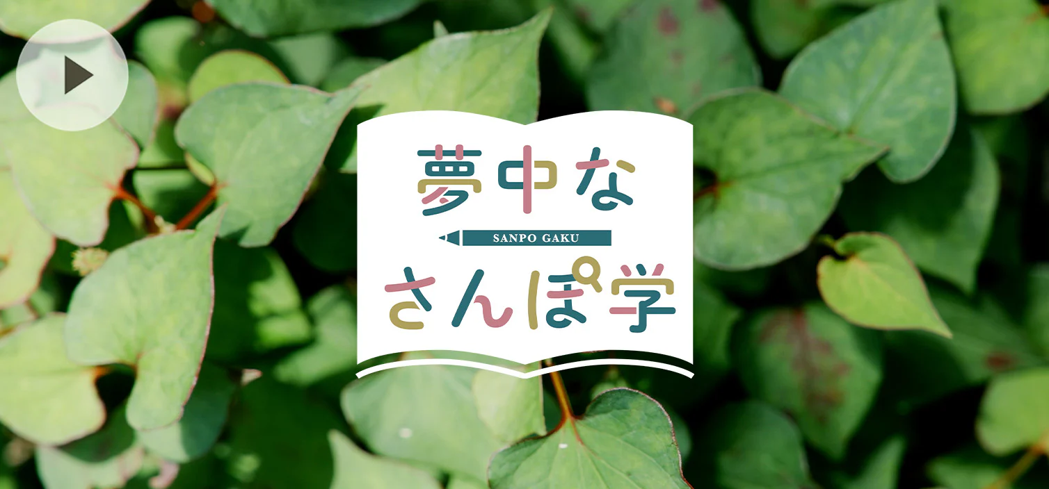 夢中なさんぽ学