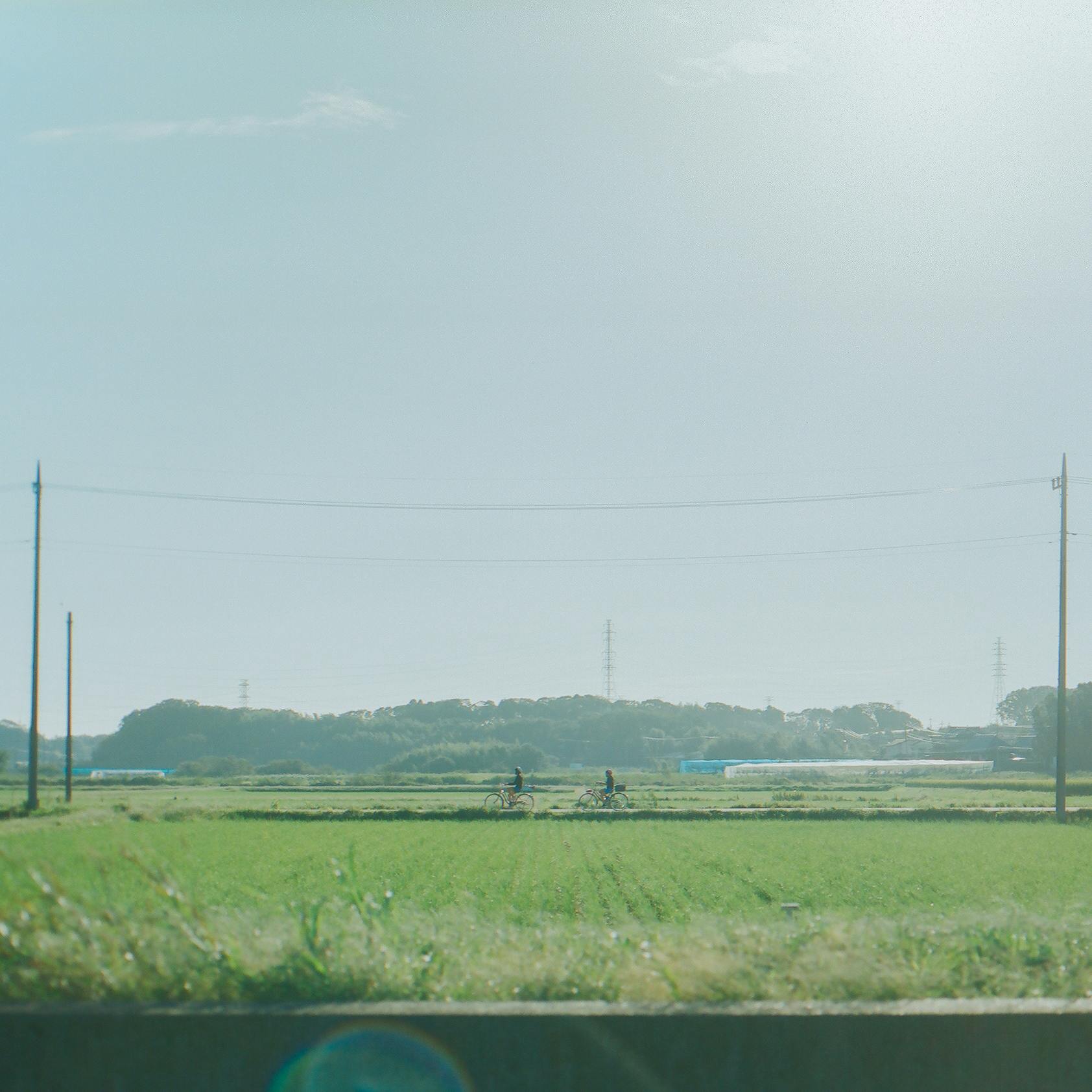 【言葉と生きる】後編：たくさんの人より、目の前の人に届く言葉を選ぶ。（文学者・荒井裕樹さん）