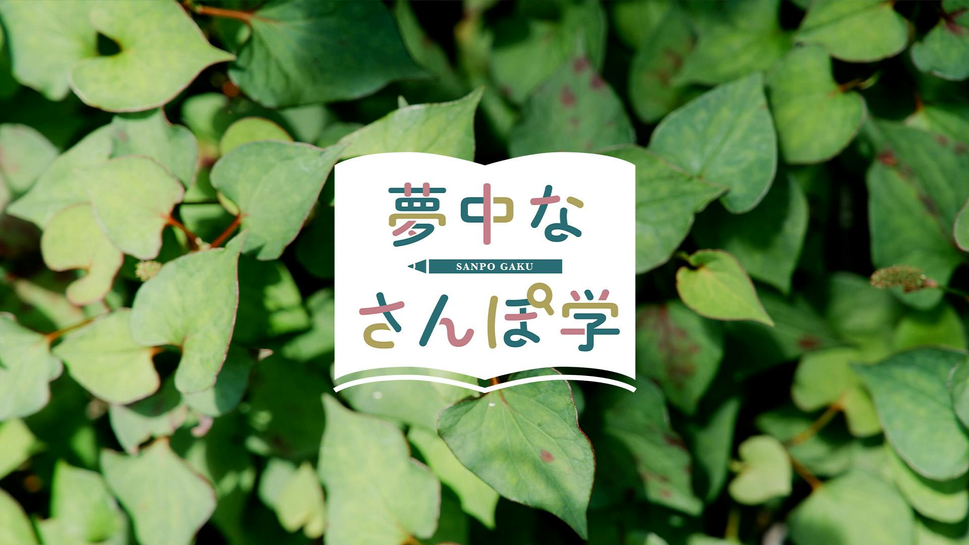 夢中なさんぽ学