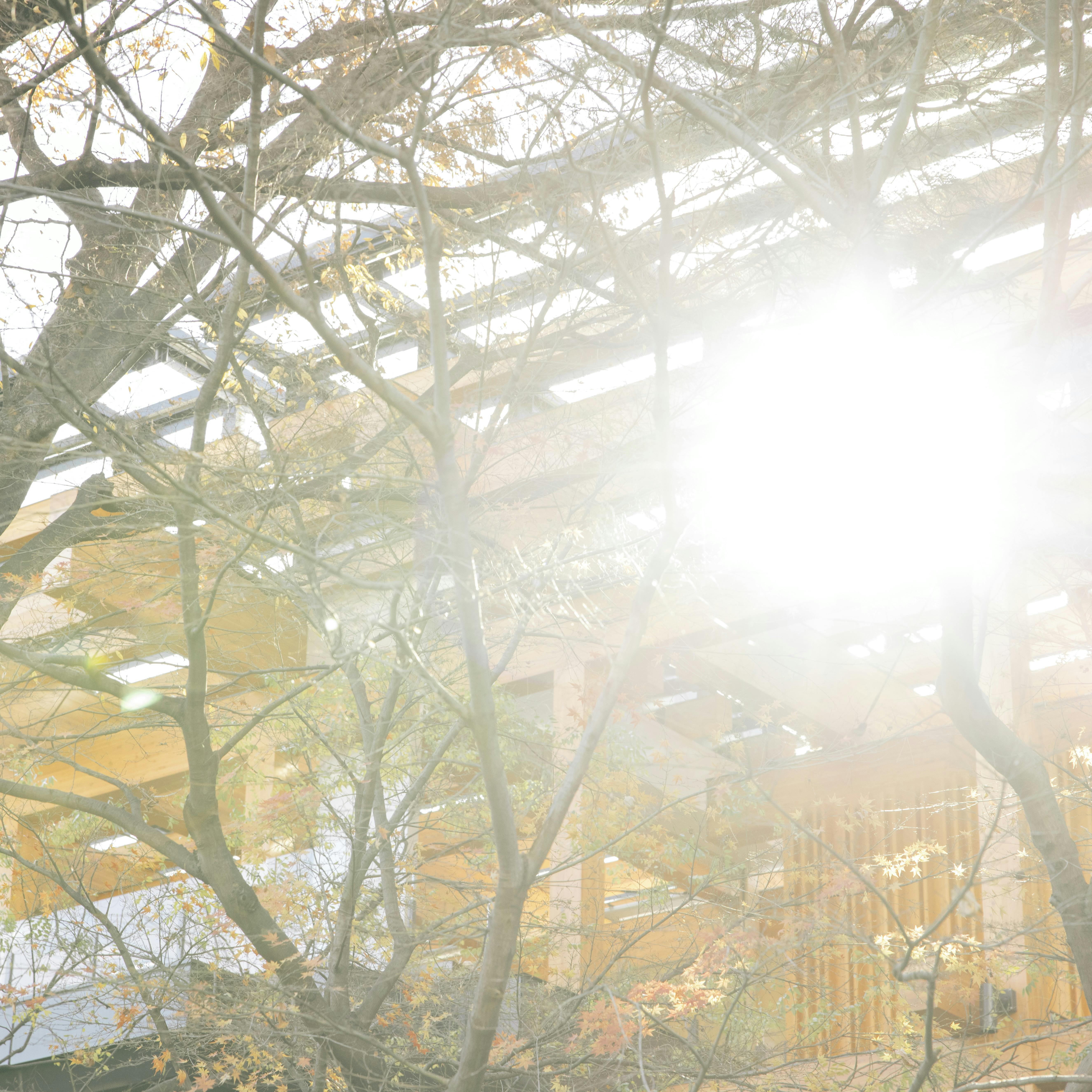 クラシコムのしごと